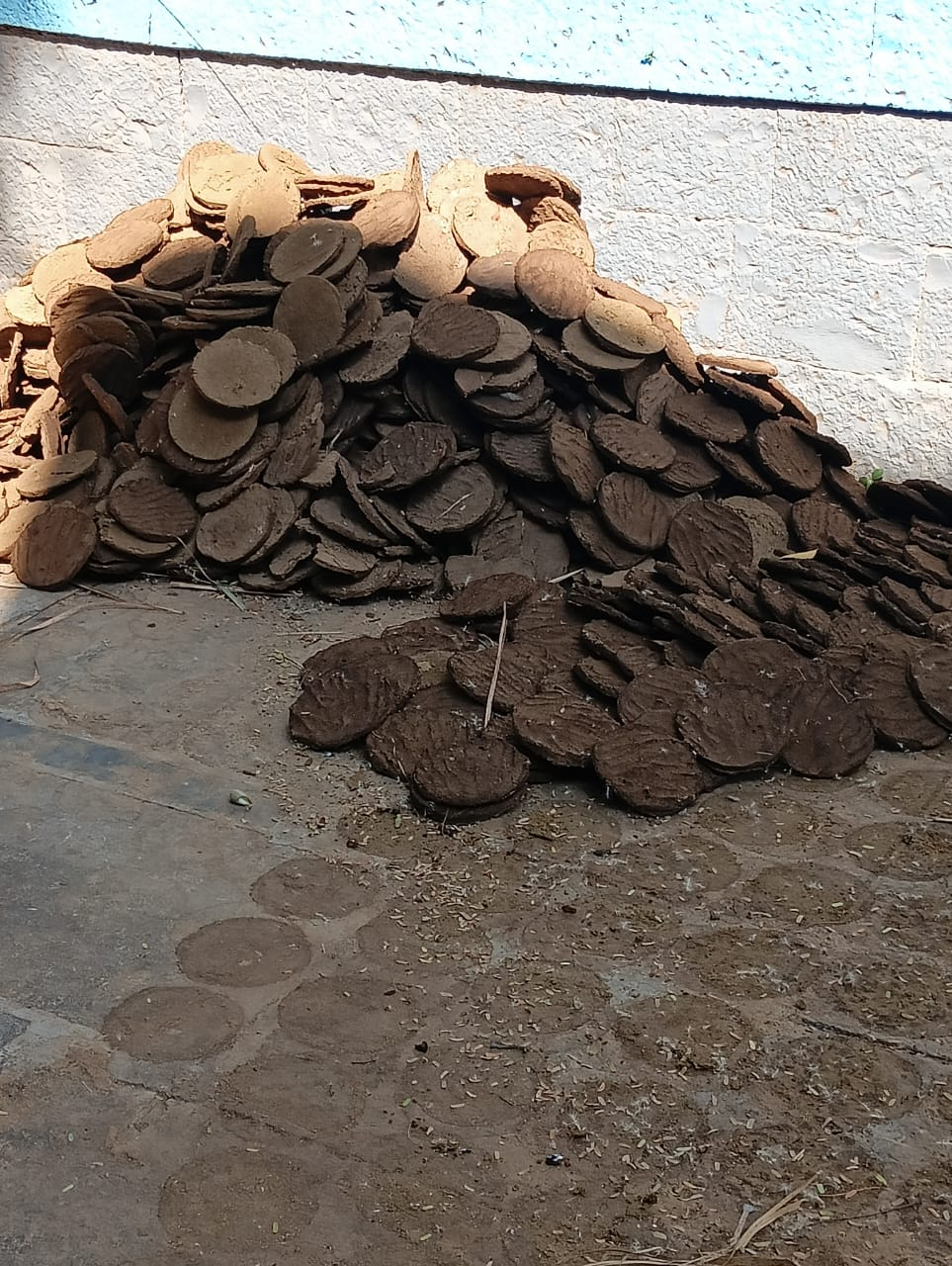 Cow Dung Products
